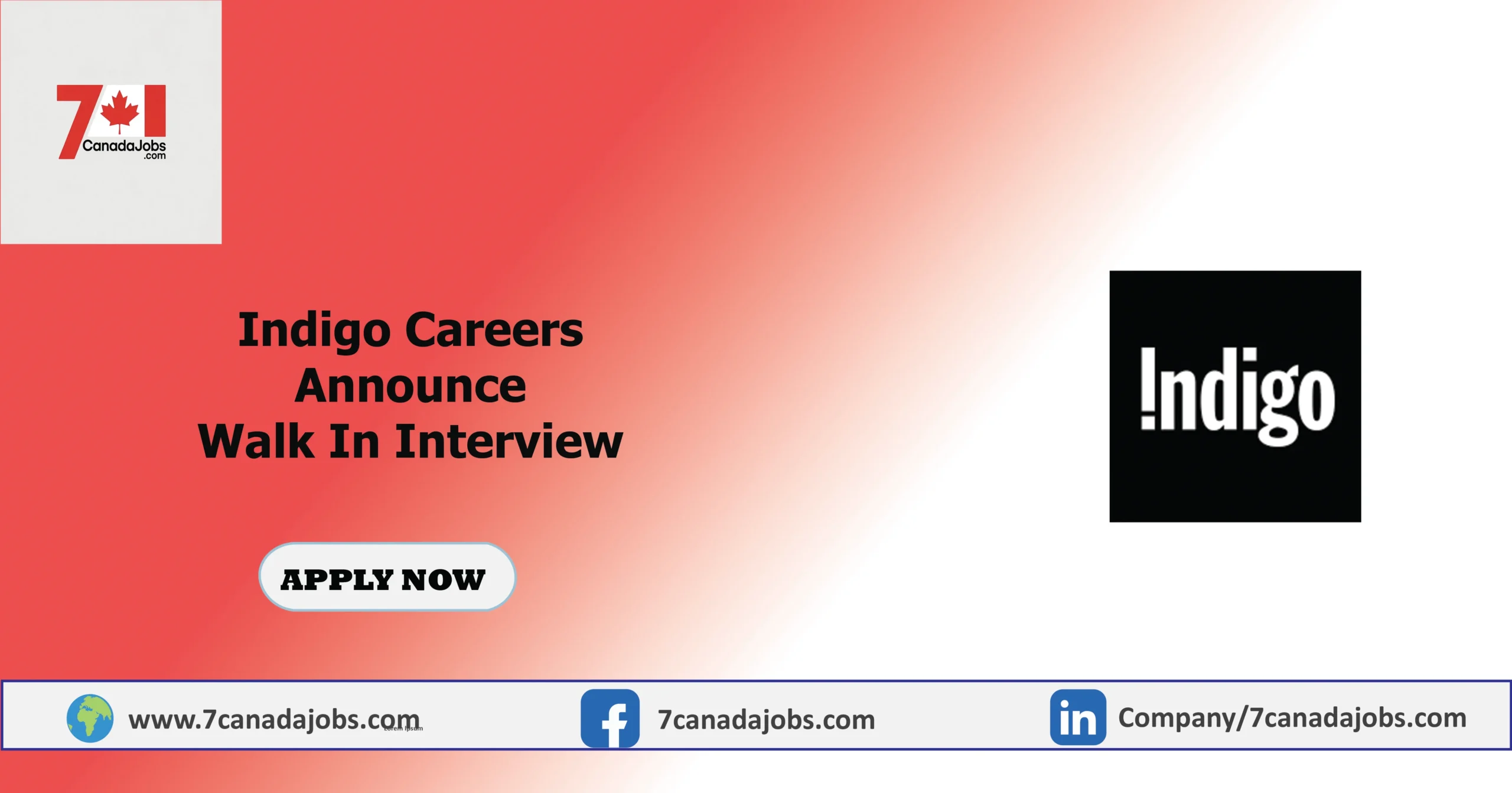Indigo Careers